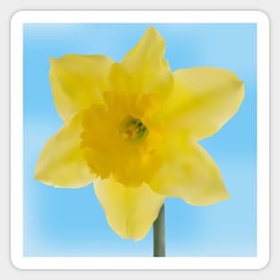 Yellow jonquil mesh flower Sticker